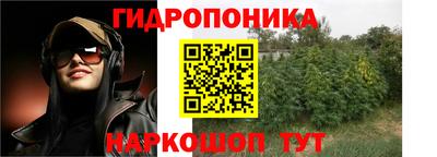 индика Нальчик