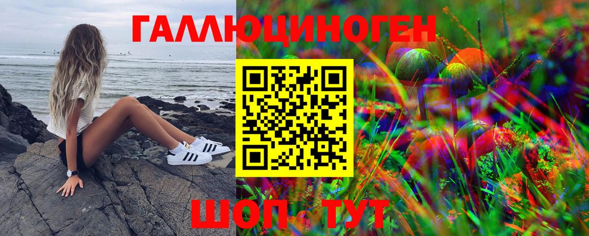 Галлюциногенные грибы прущие грибы Тверь